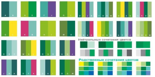Plusieurs options combinées avec des couleurs vertes
