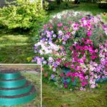 Cela ne voulait pas dire comment faire un parterre de fleurs à plusieurs niveaux ou un lit de jardin? À partir de ruban adhésif de jardin en plastique, nous fabriquons des anneaux de différents diamètres, en remplissant de terre, nous nous plions les uns sur les autres