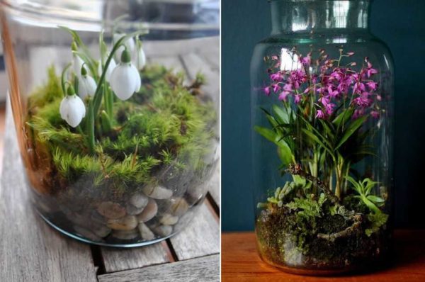 Idées cadeaux pour le 8 mars - doux, insolite