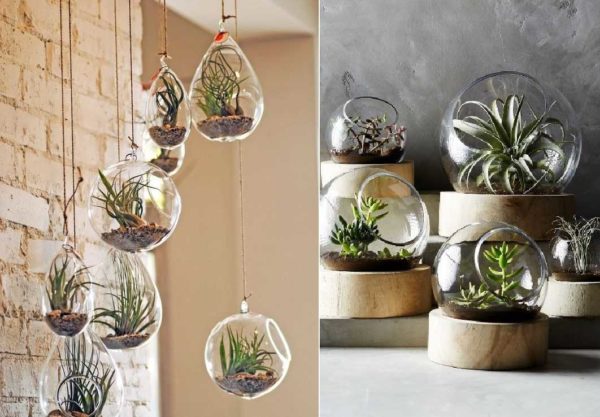 Solutions d'intérieur pour les amoureux des fleurs
