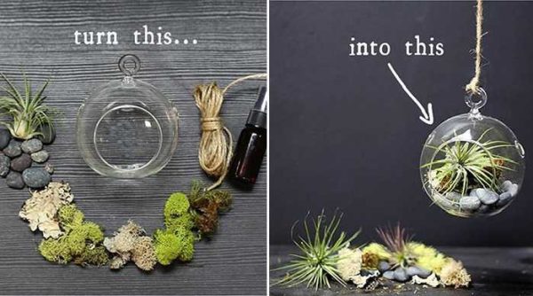 L'assemblage lui-même prend quelques minutes. Mais avant de faire un florarium, il faut beaucoup de temps pour sélectionner les plantes, pour déterminer la succion optimale du sol