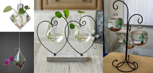 Pour les plantes aquatiques et le sol n'est pas nécessaire - seulement de l'eau, la phallenopsis naine se sent bien dans l'air - une humidité élevée est garantie aux racines, mais elle n'a pas besoin de plus
