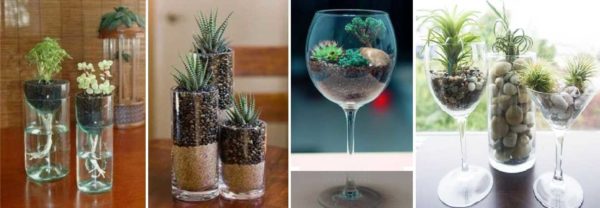 Verres, verres - décorations originales de fleurs naturelles pour la table