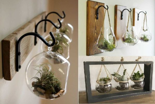 Décorations intérieures inhabituelles de mini florariums en boules de verre