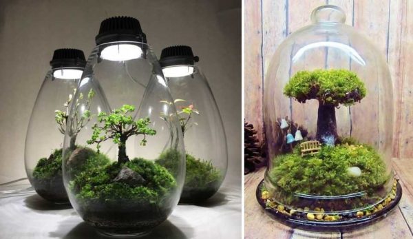 Le couvercle de la boîte peut être utilisé pour monter la lumière LED
