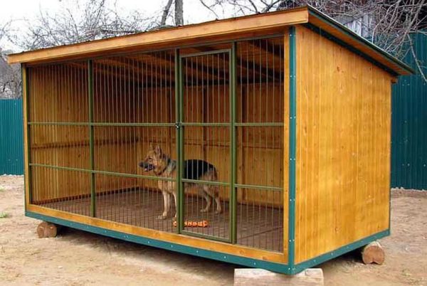 Une des options pour les animaux solides