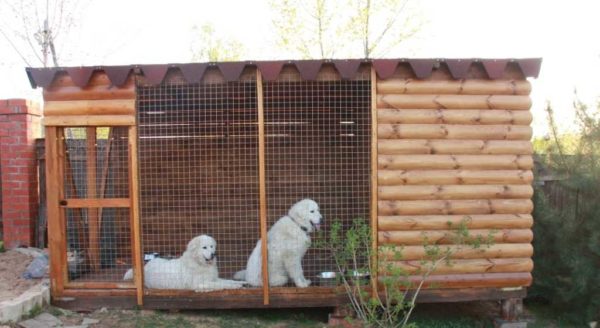 Les murs de l'enceinte pour chiens peuvent être fabriqués à partir de bois d'imitation. Mais la partie tournée vers l'intérieur doit également être traitée (otfugovat)