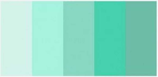Différentes nuances de couleur menthe (menthe)