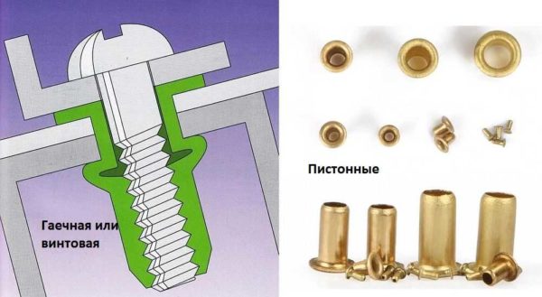 Écrou et rivets