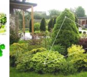 Le nombre d'or: la règle du triangle dans la conception de jardins