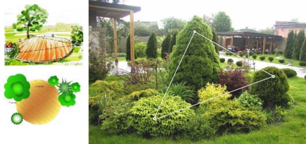 Le nombre d'or: la règle du triangle dans la conception de jardins