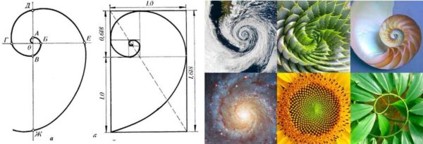 La séquence de Fibonacci n'est pas qu'une formule mathématique