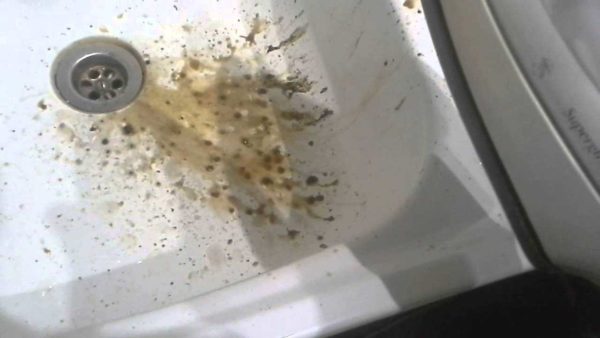 C'est ce qu'il y avait à l'intérieur du fer à vapeur. Comment détartrer votre fer? Eau avec de l'acide citrique. Il n'y a que deux façons. Choisir