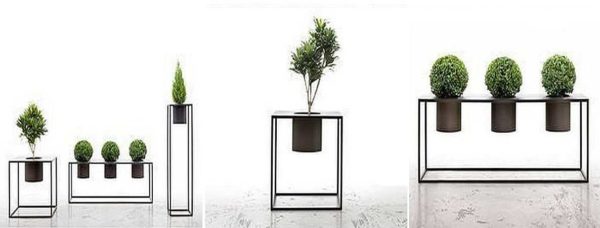 Pour un effet maximal, vous devez choisir la bonne forme de la plante.