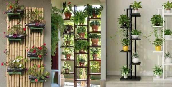 Racks et étagères. Seulement deux composants, mais combien d'options. Le support de sol pour fleurs a un nombre infini de variantes