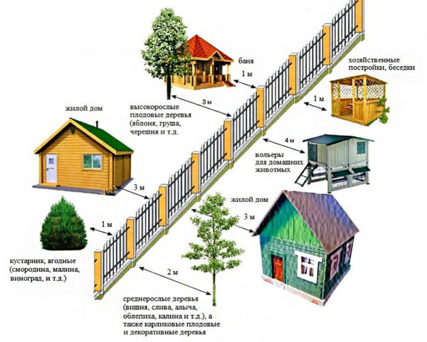 distance des arbres sur le site