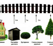 distance des arbres à la clôture