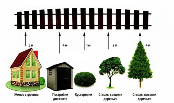 distance des arbres à la clôture